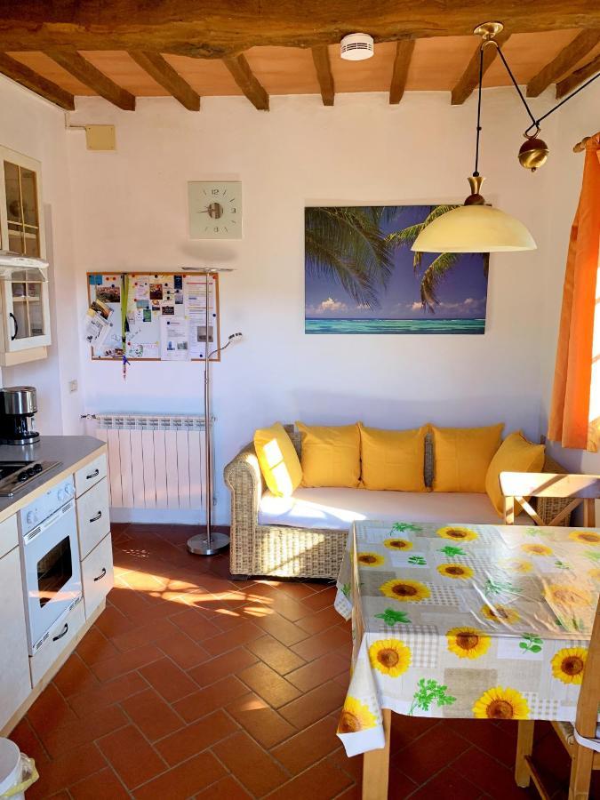 Ferienhaus Il-Pino Villa Roccastrada Exterior photo